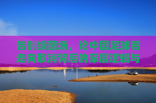 告别绿茵场，论中国足球若走向取消背后的深层逻辑与无奈