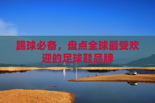 踢球必备,盘点全球最受欢迎的足球鞋品牌