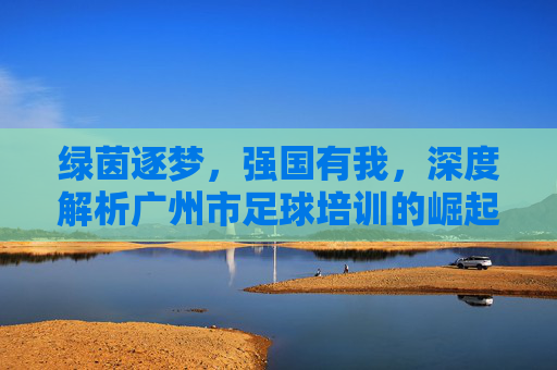 绿茵逐梦,强国有我,深度解析广州市足球培训的崛起与选择指南
