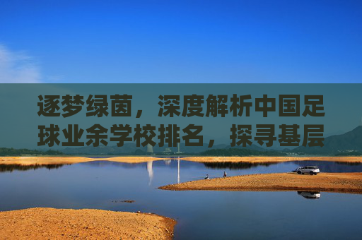 逐梦绿茵，深度解析中国足球业余学校排名，探寻基层足球的崛起之路