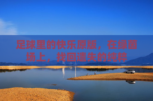 足球里的快乐原版,在绿茵场上,找回遗失的纯粹
