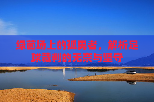 绿茵场上的孤勇者，解析足球裁判的无奈与坚守