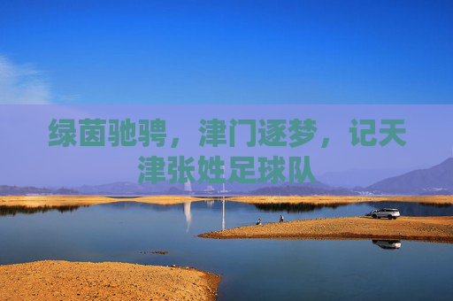 绿茵驰骋，津门逐梦，记天津张姓足球队