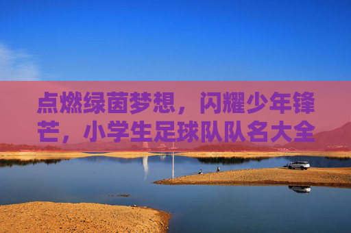 点燃绿茵梦想，闪耀少年锋芒，小学生足球队队名大全