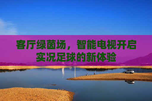 客厅绿茵场,智能电视开启实况足球的新体验