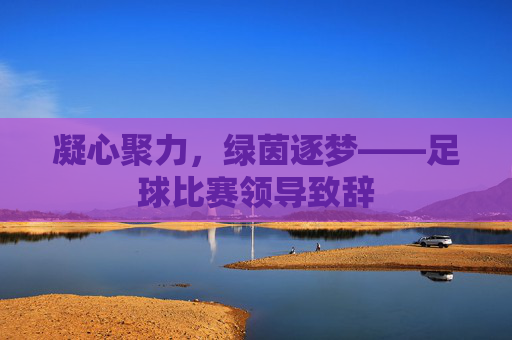 凝心聚力，绿茵逐梦——足球比赛领导致辞