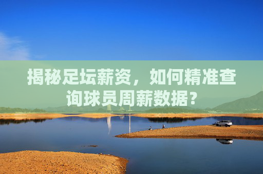 揭秘足坛薪资，如何精准查询球员周薪数据？