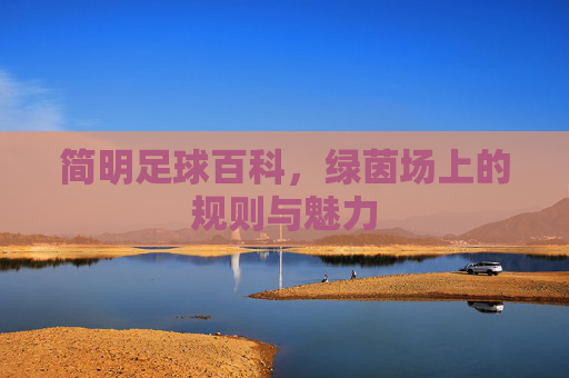 简明足球百科，绿茵场上的规则与魅力
