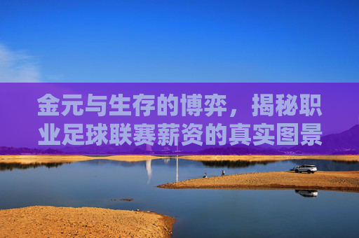 金元与生存的博弈，揭秘职业足球联赛薪资的真实图景