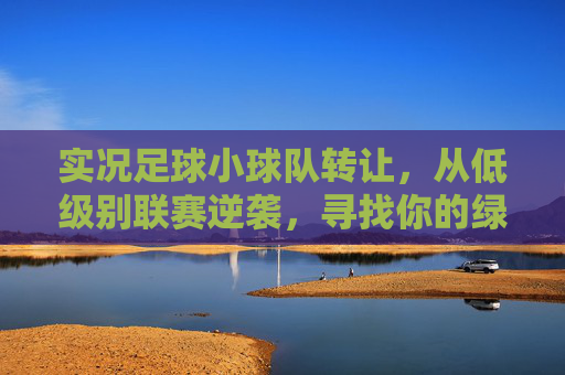 实况足球小球队转让，从低级别联赛逆袭，寻找你的绿茵初心