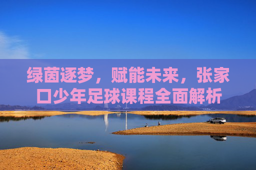 绿茵逐梦，赋能未来，张家口少年足球课程全面解析
