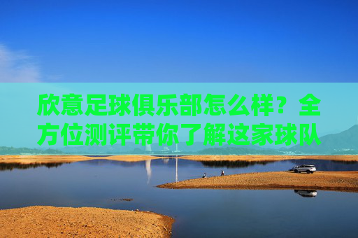 欣意足球俱乐部怎么样？全方位测评带你了解这家球队