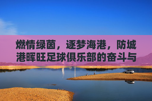 燃情绿茵，逐梦海港，防城港晖旺足球俱乐部的奋斗与荣光
