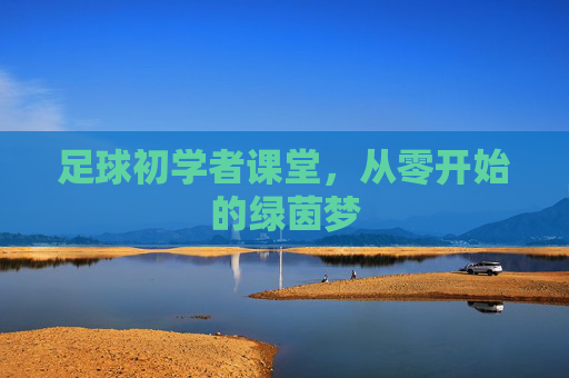 足球初学者课堂，从零开始的绿茵梦