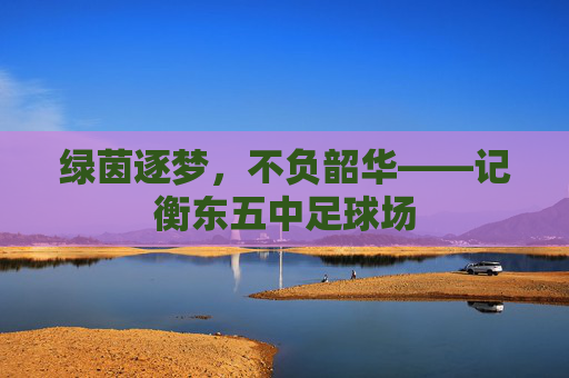 绿茵逐梦，不负韶华——记衡东五中足球场