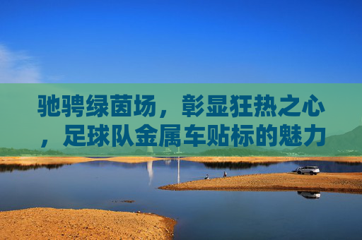 驰骋绿茵场，彰显狂热之心，足球队金属车贴标的魅力与实用指南