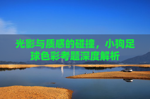 光影与质感的碰撞，小狗足球色彩考题深度解析