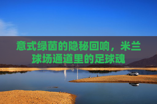 意式绿茵的隐秘回响，米兰球场通道里的足球魂