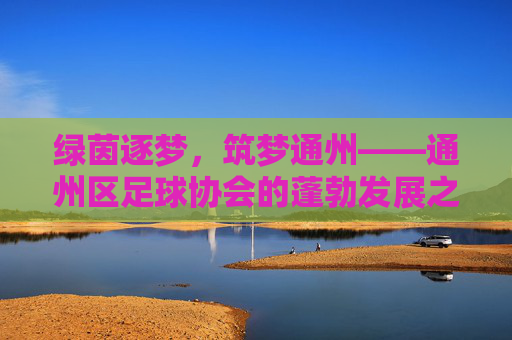 绿茵逐梦，筑梦通州——通州区足球协会的蓬勃发展之路