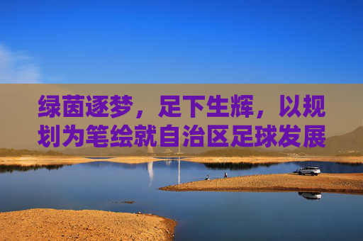 绿茵逐梦，足下生辉，以规划为笔绘就自治区足球发展新蓝图