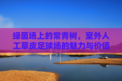 绿茵场上的常青树，室外人工草皮足球场的魅力与价值