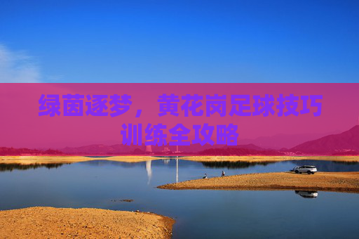 绿茵逐梦，黄花岗足球技巧训练全攻略
