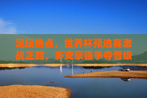 足坛焦点，世界杯预选赛激战正酣，多支豪强争夺晋级名额