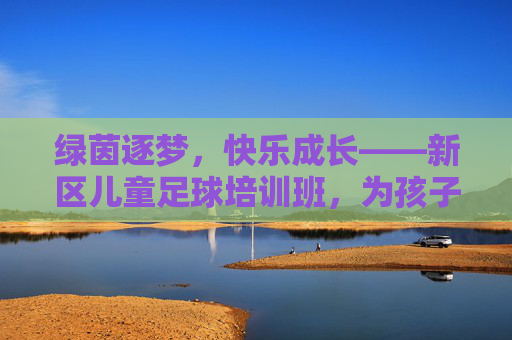 绿茵逐梦，快乐成长——新区儿童足球培训班，为孩子的未来注入活力因子
