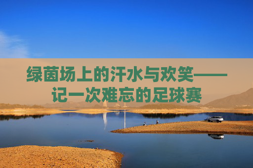 绿茵场上的汗水与欢笑——记一次难忘的足球赛