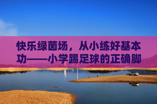 快乐绿茵场，从小练好基本功——小学踢足球的正确脚法指南