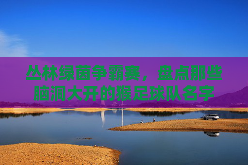 丛林绿茵争霸赛，盘点那些脑洞大开的猴足球队名字