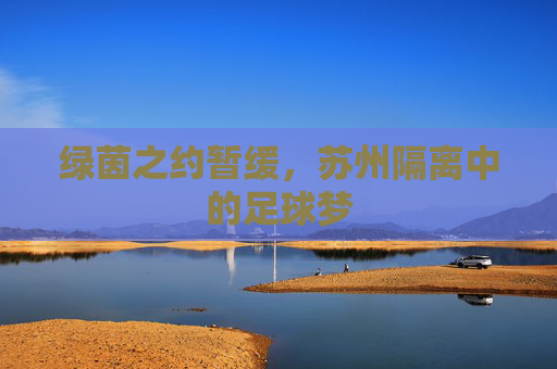 绿茵之约暂缓，苏州隔离中的足球梦