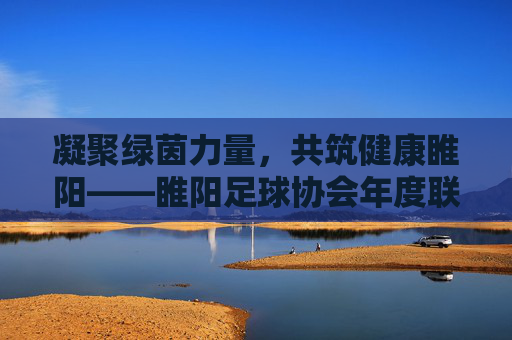 凝聚绿茵力量，共筑健康睢阳——睢阳足球协会年度联赛活动方案