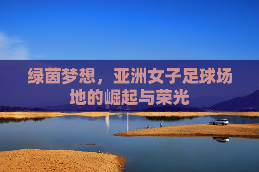 绿茵梦想，亚洲女子足球场地的崛起与荣光