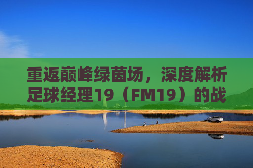 重返巅峰绿茵场，深度解析足球经理19（FM19）的战术魅力与指挥艺术