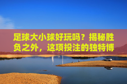 足球大小球好玩吗？揭秘胜负之外，这项投注的独特博弈乐趣