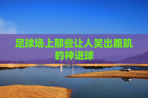 足球场上那些让人笑出腹肌的神进球