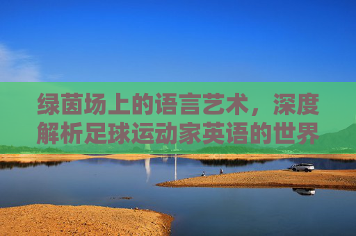 绿茵场上的语言艺术，深度解析足球运动家英语的世界