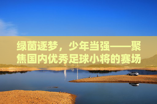 绿茵逐梦，少年当强——聚焦国内优秀足球小将的赛场风云