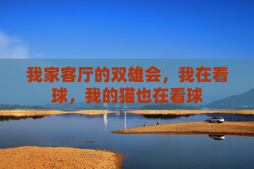 我家客厅的双雄会，我在看球，我的猫也在看球