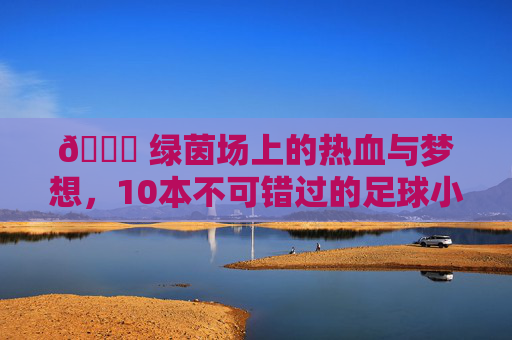 🏆 绿茵场上的热血与梦想，10本不可错过的足球小说推荐