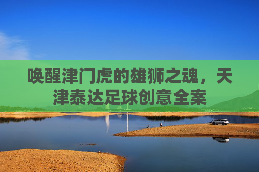 唤醒津门虎的雄狮之魂，天津泰达足球创意全案