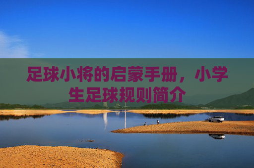 足球小将的启蒙手册，小学生足球规则简介