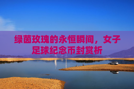 绿茵玫瑰的永恒瞬间，女子足球纪念币封赏析