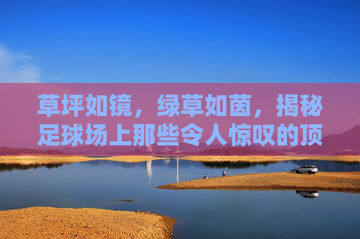 草坪如镜，绿草如茵，揭秘足球场上那些令人惊叹的顶级草坪国家