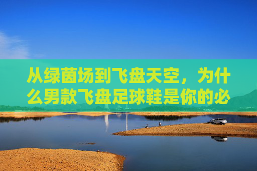 从绿茵场到飞盘天空，为什么男款飞盘足球鞋是你的必备装备？