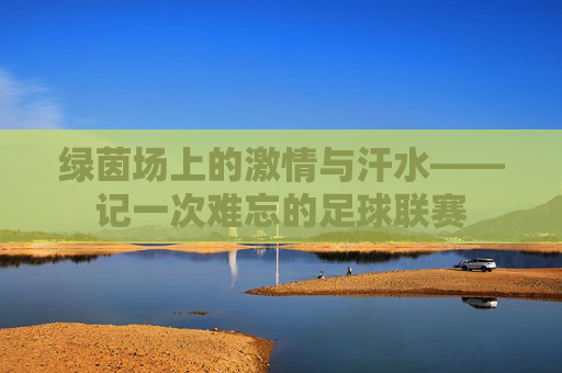 绿茵场上的激情与汗水——记一次难忘的足球联赛