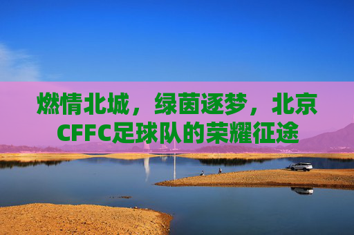 燃情北城，绿茵逐梦，北京CFFC足球队的荣耀征途