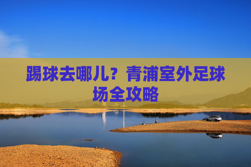 踢球去哪儿？青浦室外足球场全攻略