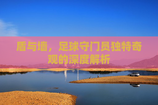 盾与墙，足球守门员独特奇观的深度解析
